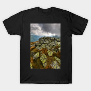 Alpine landscape in a cloudy day T-Shirt